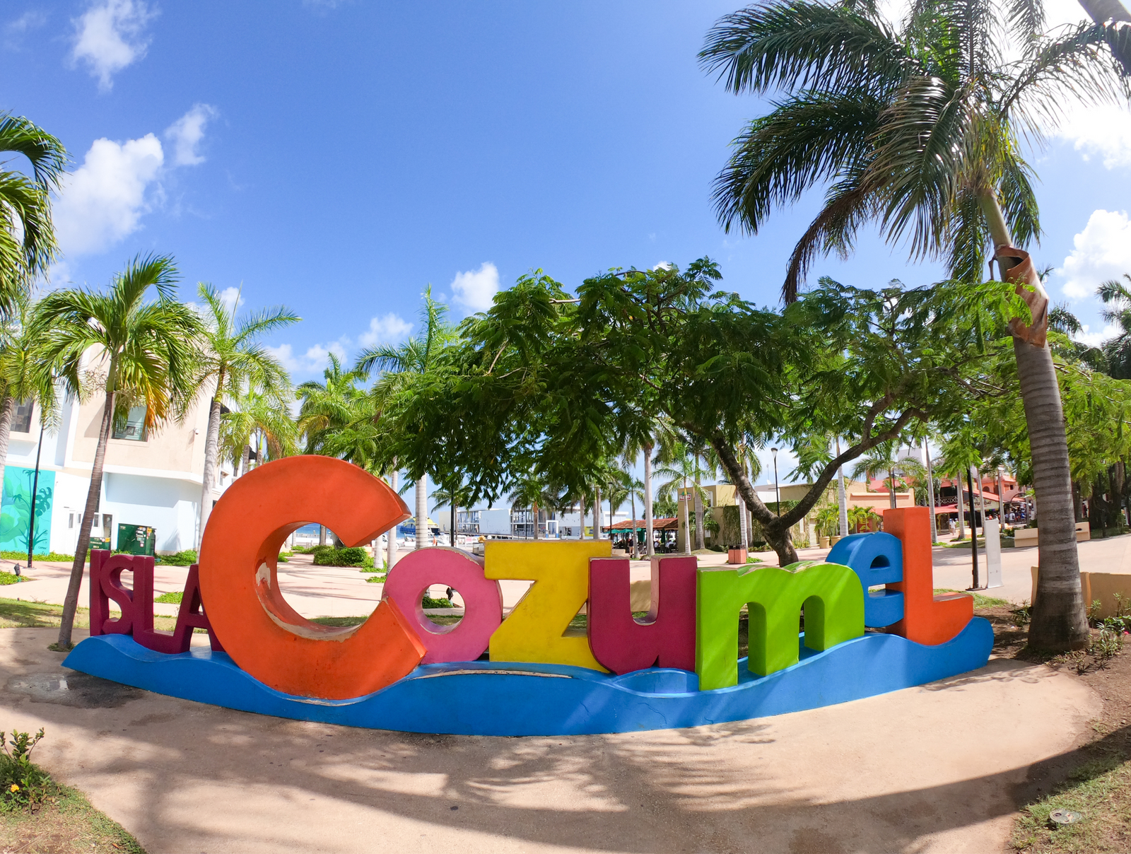 cozumel beach bars